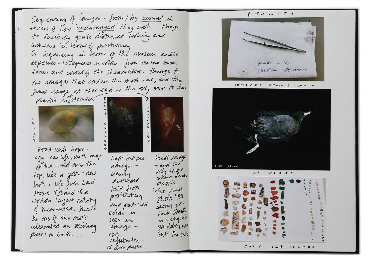 Notebook page with notes on bird autopsies. 