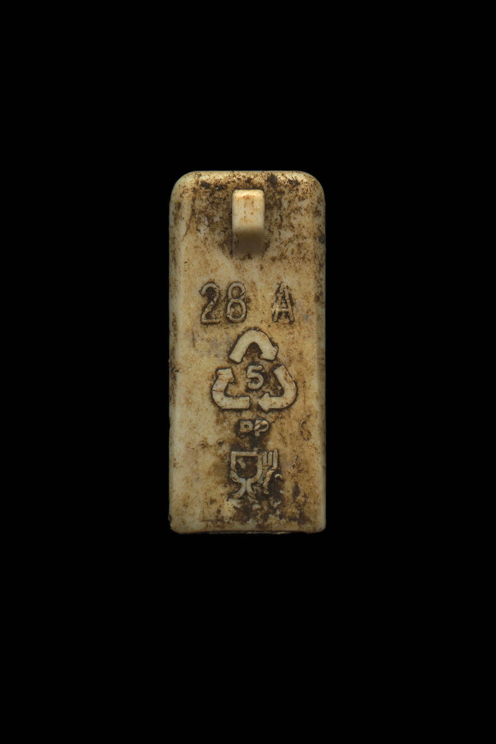 Plastic removed from a shearwater during autopsy. 