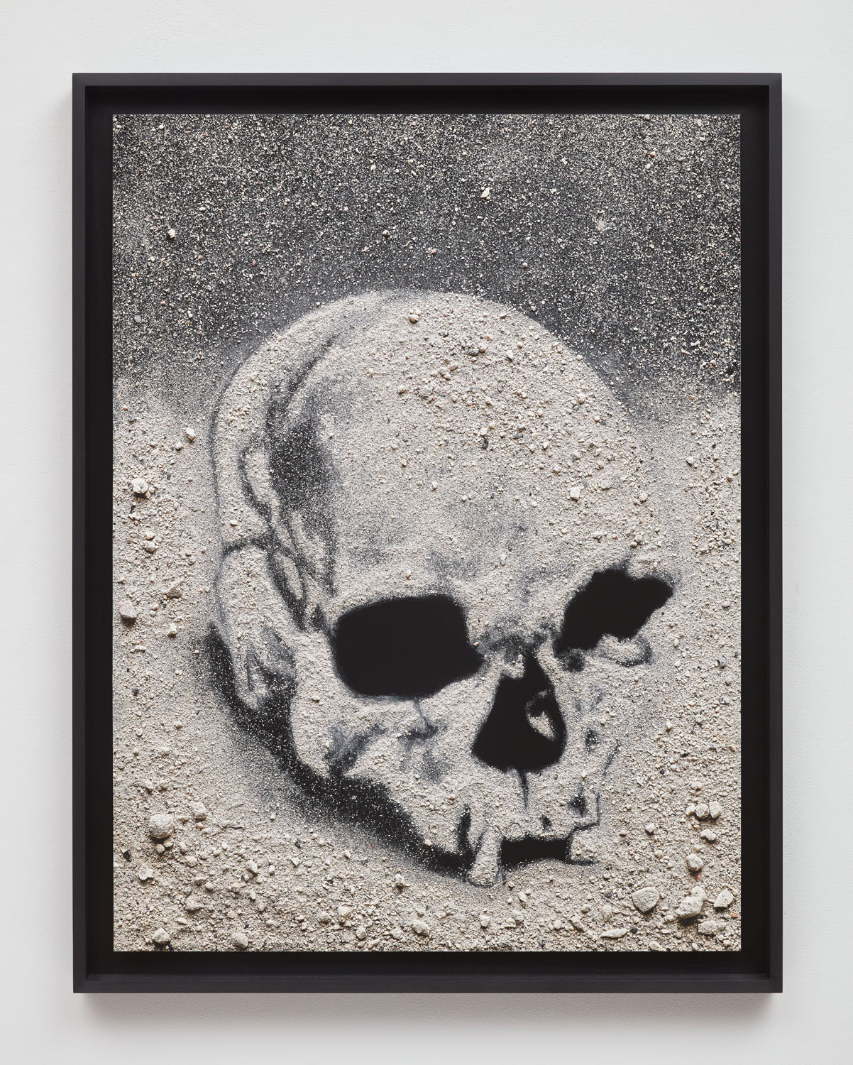 Paleolithic Skull (Luzia), 11,243–11,710 years, Minas Gerais, Brazil. Archival inkjet print, 40 × 30 in.