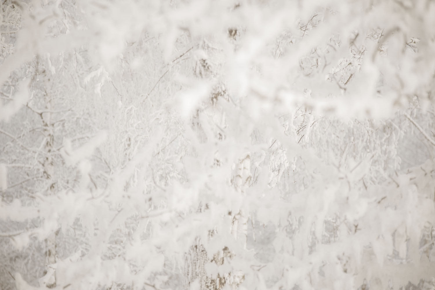 White textured surface