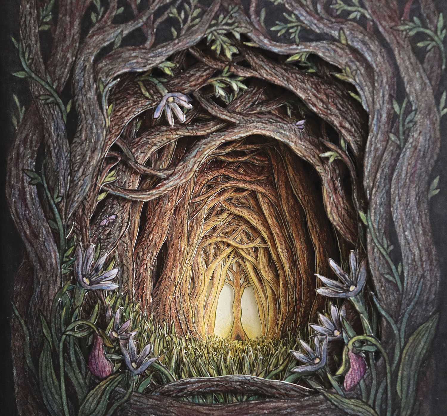 Forest trees with light in middle
