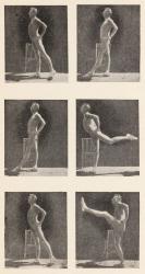 J.P. MÃ¼ller, photographs from My System, 1904.