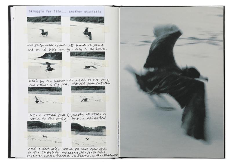 Notebook page with a series of 9 images showing a bird taking off. 