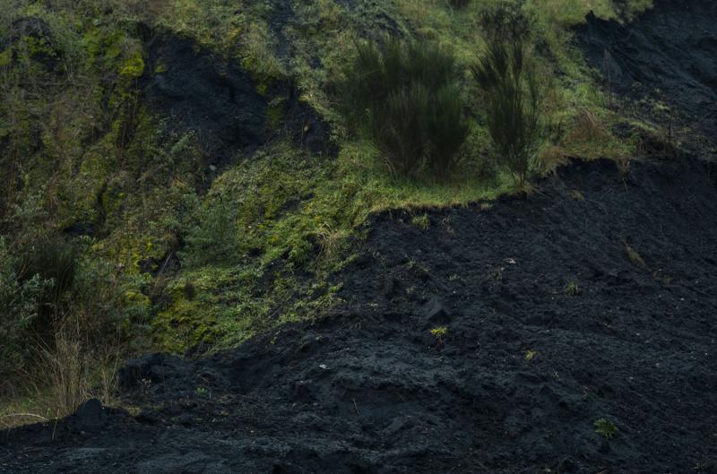 upper left is vibrant, green grass and bottom right is rich, black soil