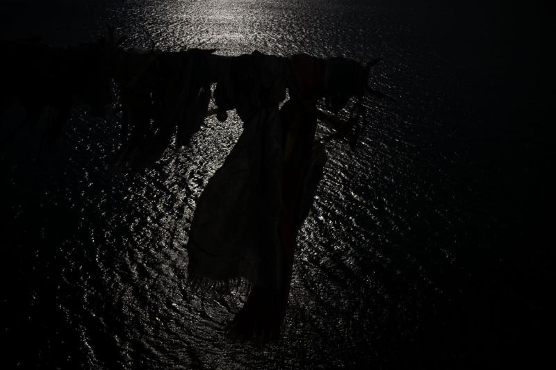 Dark shadowy lake