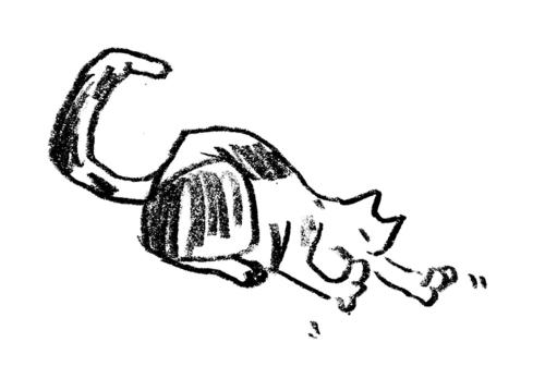 Agnes Lee Cat