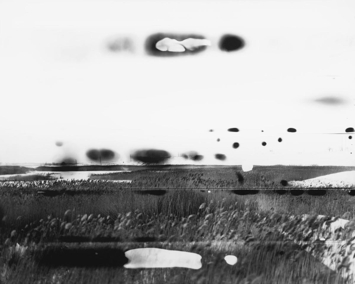 Snow-damaged landscape negative