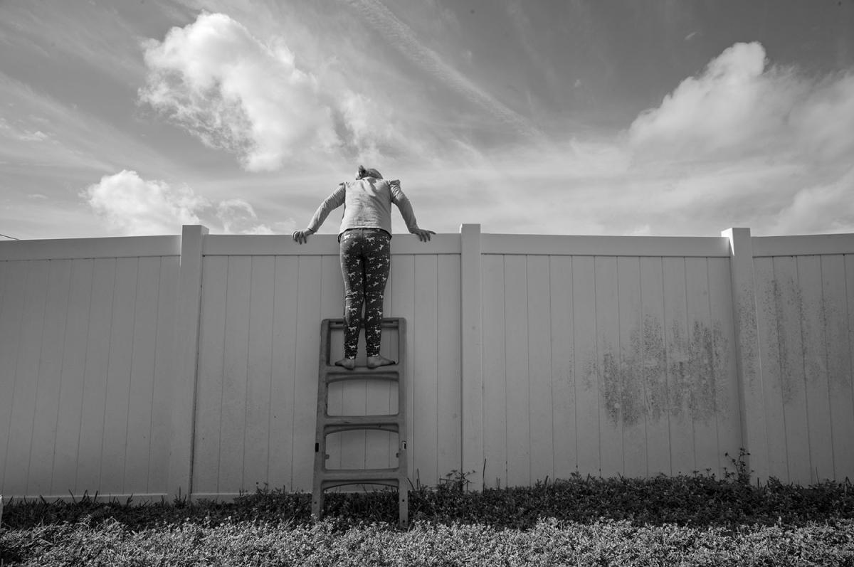 Girl stands on ladder and peers over fence. 