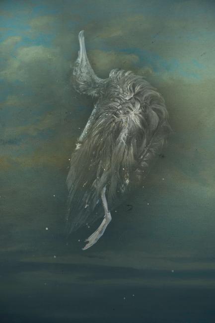 Still Sky. By Mandy Barker.